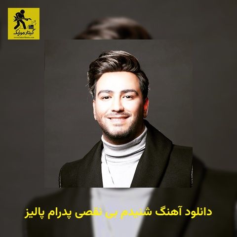دانلود آهنگ شنیدم بی نقصی پدرام پالیز