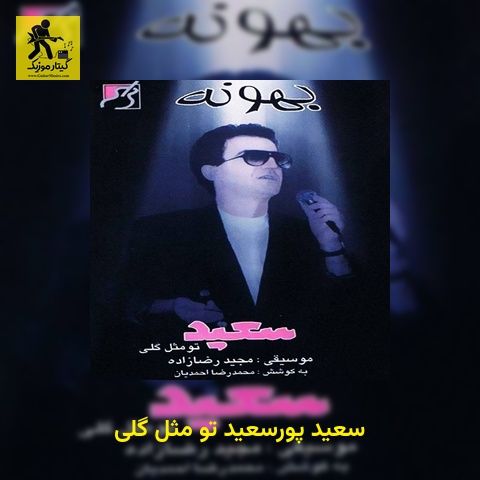 دانلود آهنگ سعید پورسعید تو مثل گلی