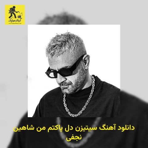 دانلود آهنگ سیتیزن دل پاکتم من شاهین نجفی
