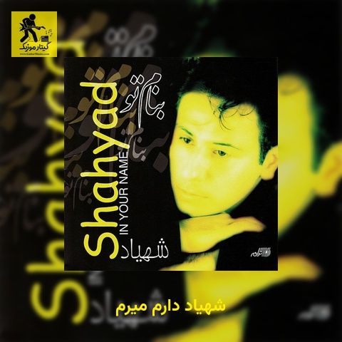 دانلود آهنگ شهیاد دارم میرم