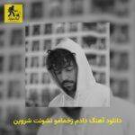 دانلود آهنگ دادم زخمامو نشونت شروین