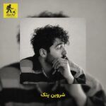 دانلود آهنگ شروین پتک