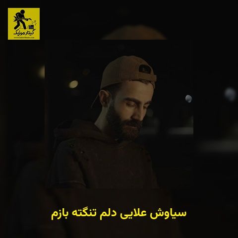 دانلود آهنگ سیاوش علایی دلم تنگته بازم