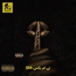 دانلود آهنگ تی ام بکس Shh