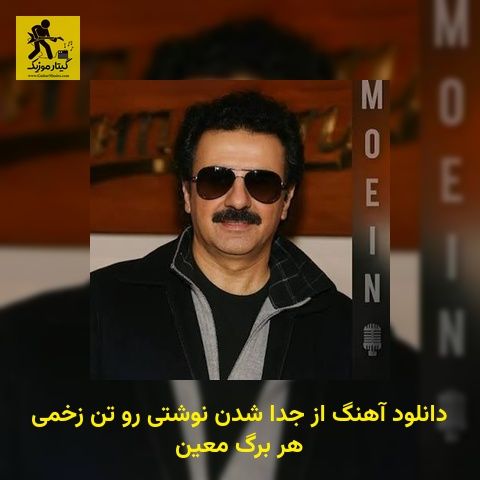دانلود آهنگ از جدا شدن نوشتی رو تن زخمی هر برگ معین