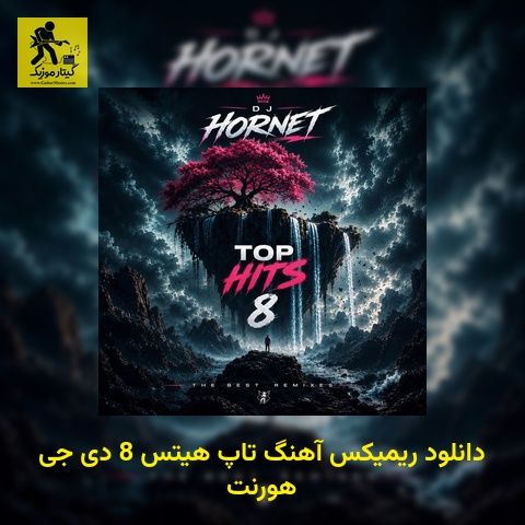 دانلود ریمیکس آهنگ تاپ هیتس 8 دی جی هورنت