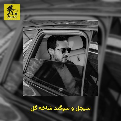 دانلود آهنگ سیجل و سوگند شاخه گل
