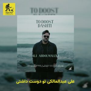 دانلود آهنگ علی عبدالمالکی به نام تو دوست داشتی